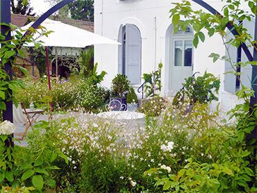 Normandie (Eure), jardin de vivaces et son verger pour passionné de jardinage