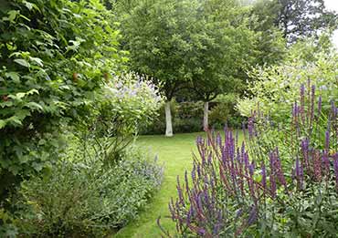 Normandie (Eure), jardin de vivaces et son verger pour passionné de jardinage