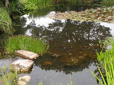 Normandie (Eure),jardin d'eau et de massifs mixtes