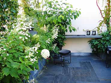 jardin a paris en noir et blanc